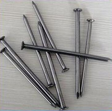 Low Price Top Quality Common Iron Nail