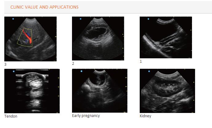 Veterinary Ultrasound Color Doppler Laptop Touchscreen