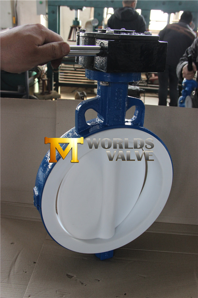 PFA Full Lining Butterfly Valve (D7L1X-10/16)