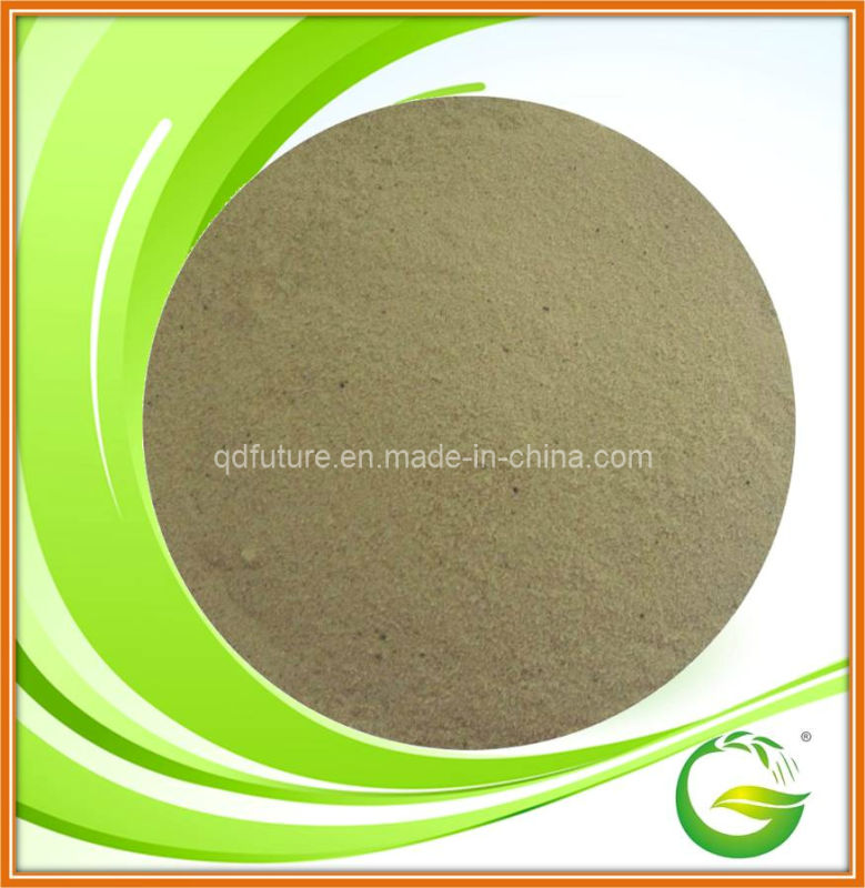 Plant and Vegetable Source Free Amino Acid Powder 40-80%