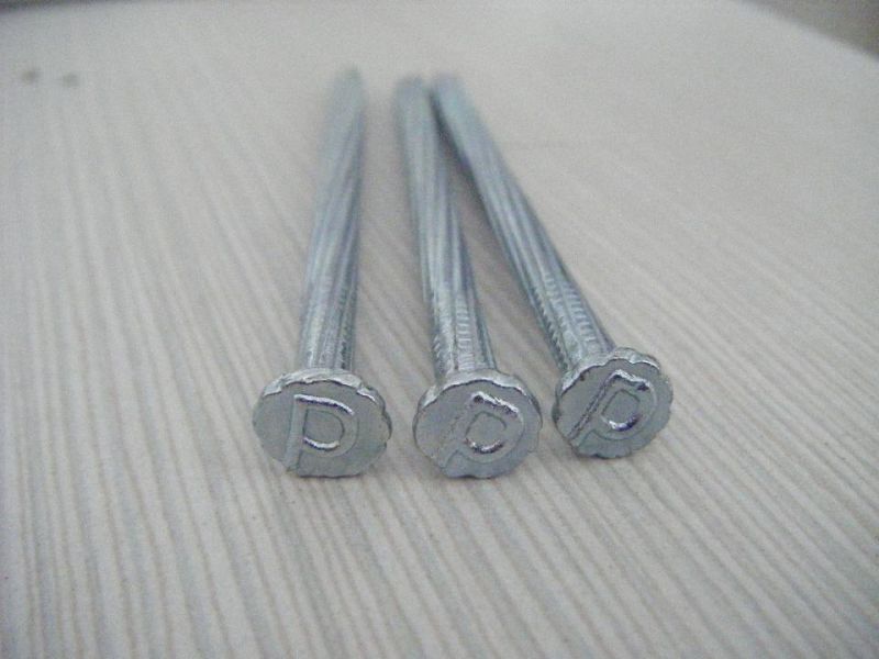 High Quality Galvanized Harden Concrete Steel Nails