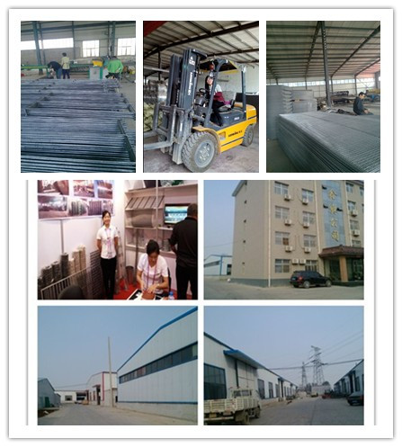 Galvanized Building Welded Wire Mesh Panel for Concrete