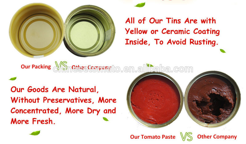 2200 G Double Concentrated Primary Ingredient Tomato Paste (OEM brand) for Wholesale