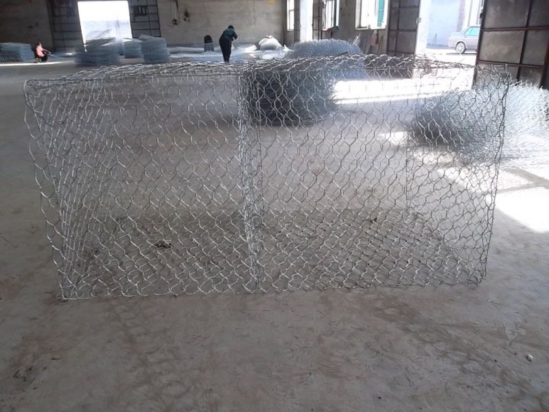 PVC Coated Hexagonal Wire Mesh Fences/Chicken Fence