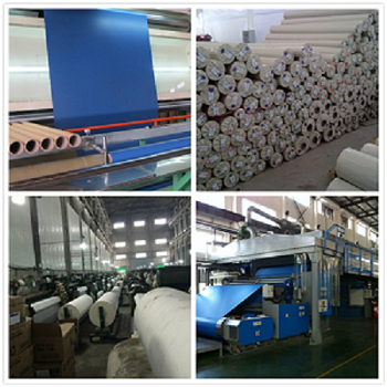 Conveyor Belt Polyester Canvas