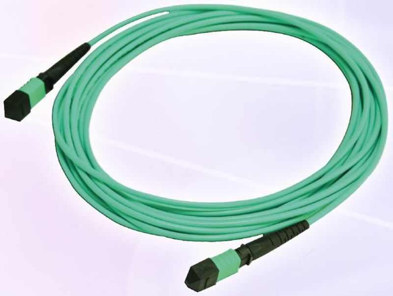 Om1 Om2 Om3 PVC&LSZH 3m MPO/MTP Fiber Optic Patch Cord