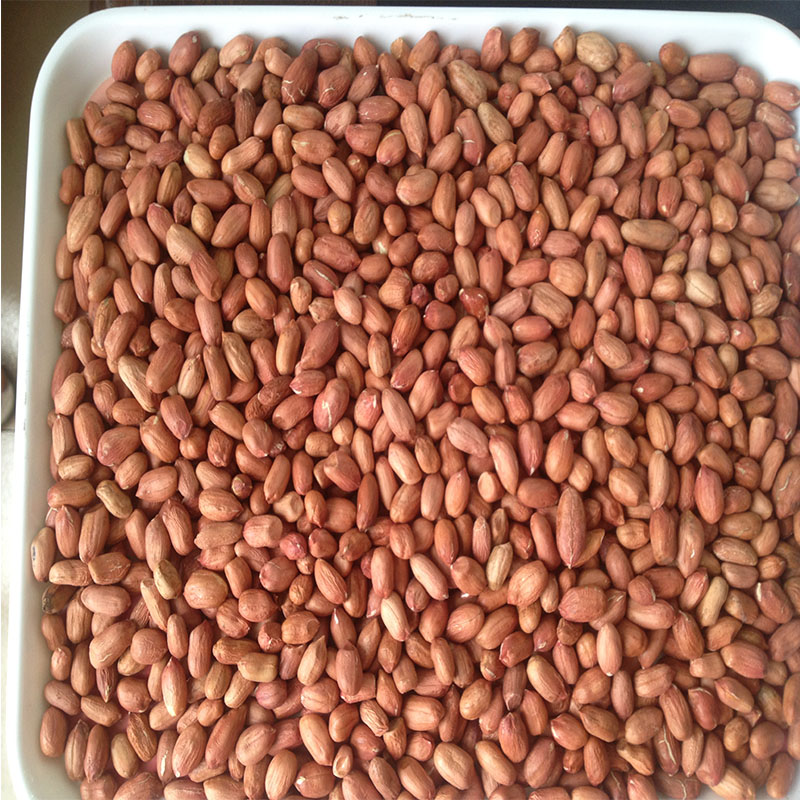 Chinese Red Skin Peanut Kernels