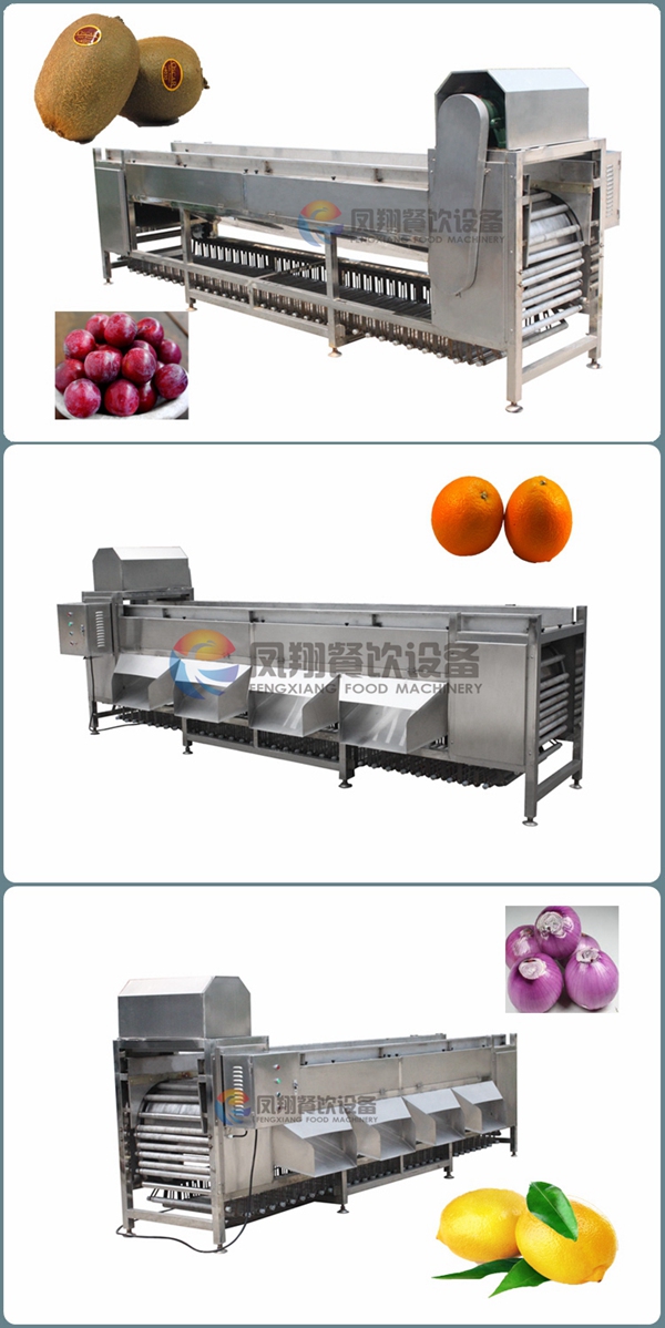 Commercial Roller Type Blueberry Apple Citrus Fruit Sorting Machine