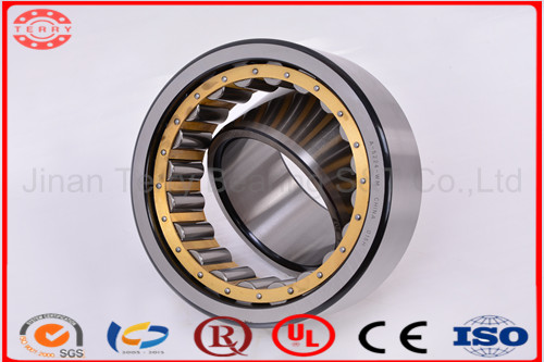 High Performance Hybrid /Full Ceramic Bearing Self-Aligning Ball Bearing (13013)