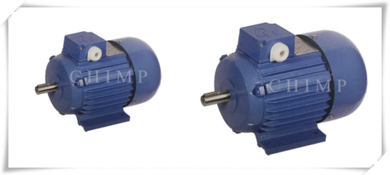 Chimp Ys Series Three Phase Induction Motor