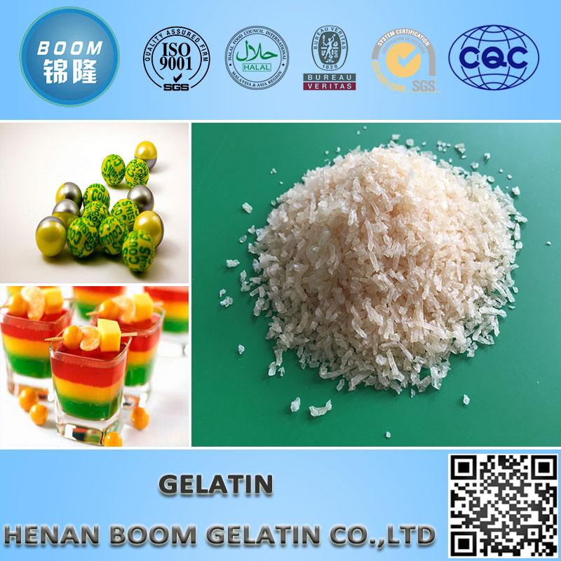 Pharmaceutical Gelatin