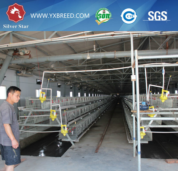 Kenya Chicken Cages / Layer Cages or Brooder Cage