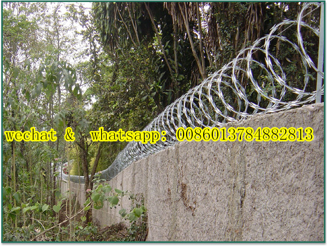 Factory Price Concetina Razor Barbed Wire Cbt 65