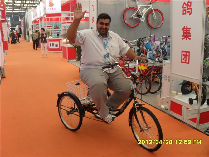 China Factory Pedal Assisted Cargo Tricycle (FP-TRB-J04)
