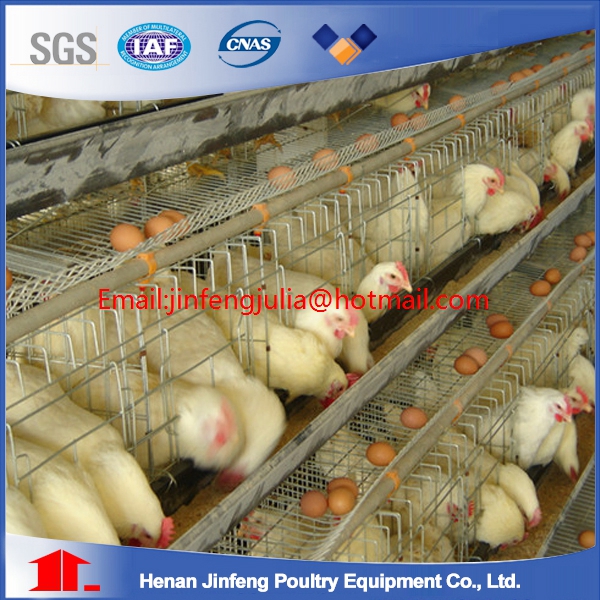 Breeder Cage in Poultry Farm