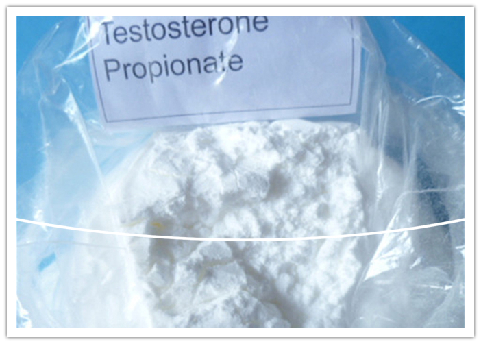 Factory Sales Steroid Raw Powder Testosterone Propionate 57-85-2