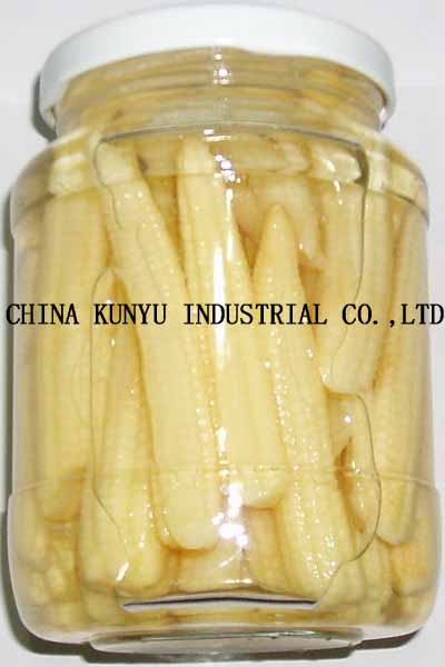 Canned Baby Corn Whole with High Quality