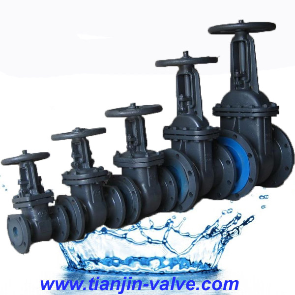 GOST Standard Gate Valve Pn16