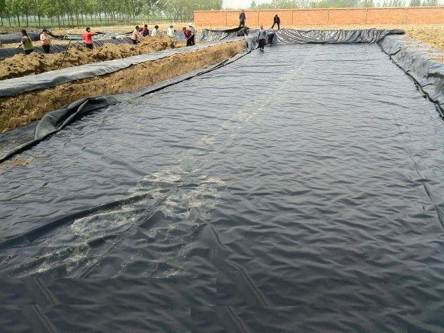 HDPE Geomembrane HDPE Pond Liner Fish Farm Pond Liner