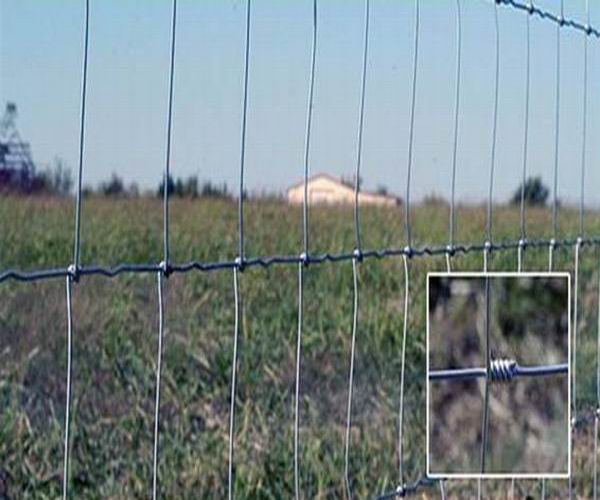 Field Fence & Sheep Wire