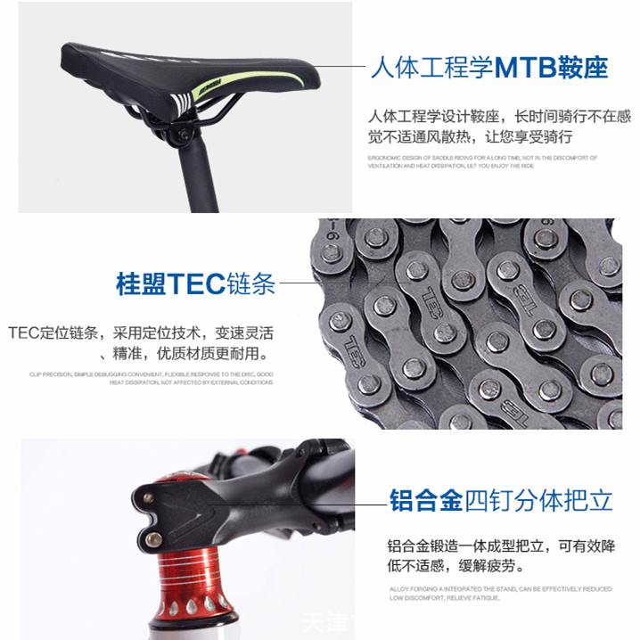 High Quality Fashion Carbon Mountain Bike MTB Bicycle