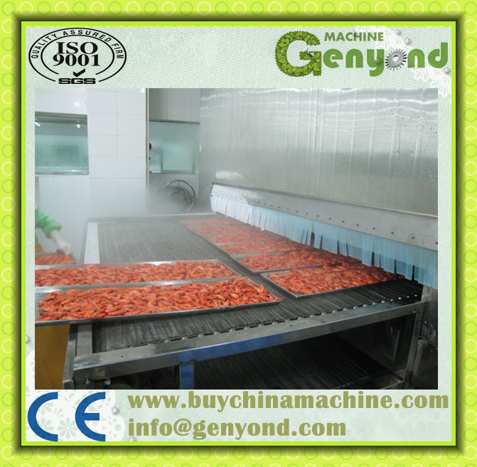 Vegetables Equipment / Quick Freezing Equipment