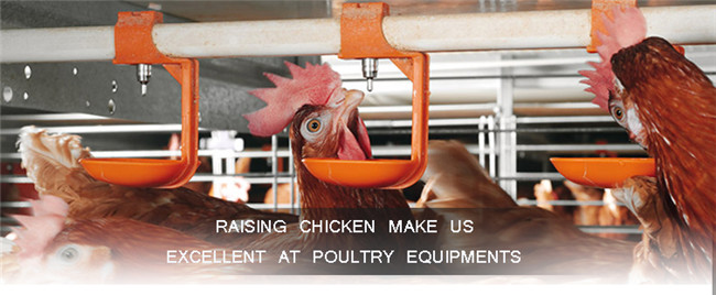 Farming Port Poultry Farm Drinking System for Chicken House