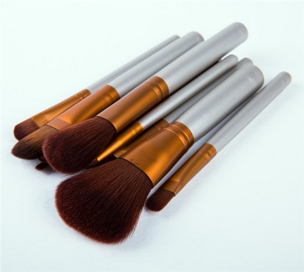 Wisdom 11PCS Professional Cosmetic Makeup Brush Set with Canvas