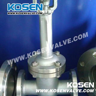 API 600 Cryogenic Gate Valves (Z40Y)