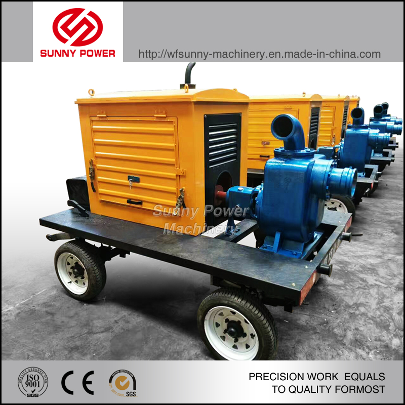 China Hot Sale Diesel Water Pumps and Electric Pumps for Mining Industry