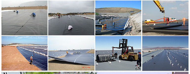 Vertical Farming HDPE Geomembrane Liner for Shrimp Pond