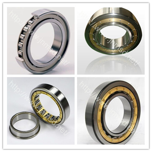 Auto Parts, Stainless Steel, Cylindrical Roller Bearing (NU217M)