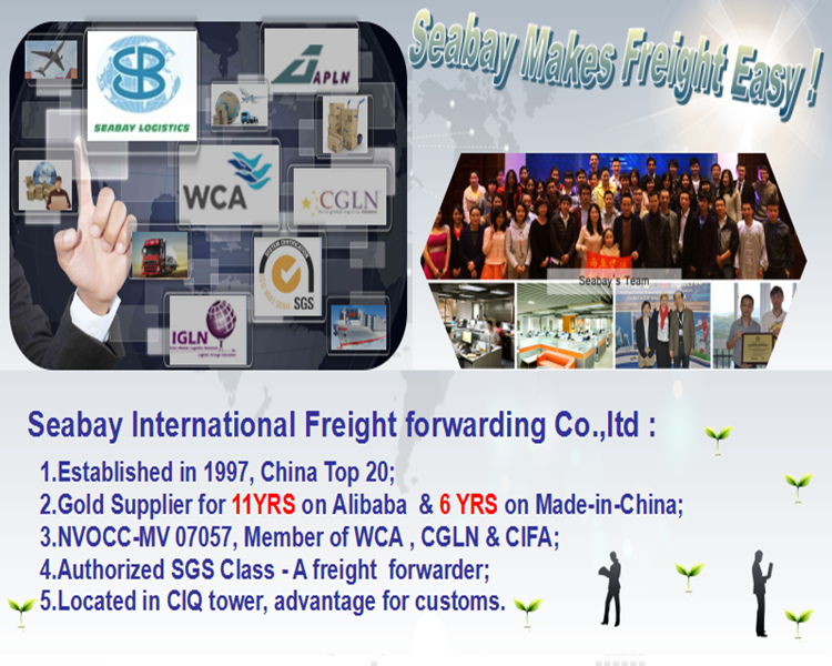 20FT/40FT (GP/HQ) /45FT Container Shipping From China to Worldwide