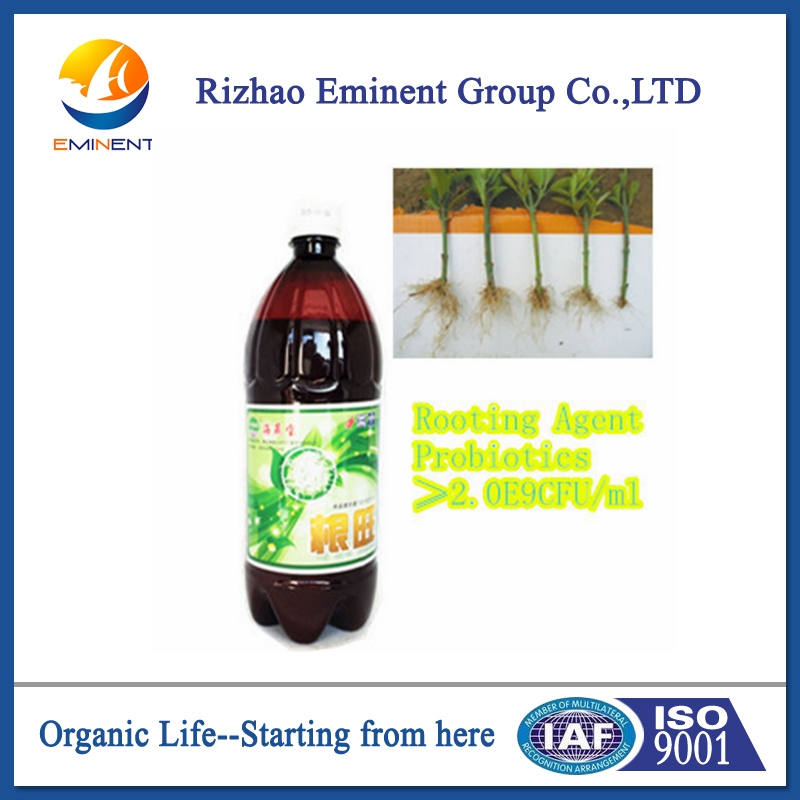 Seaweed Bio Organic Manure with NPK for agriculture