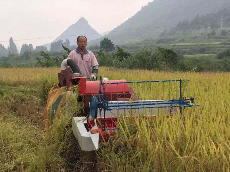 Rubber Crawler Mini Rice Harvester for Sale India