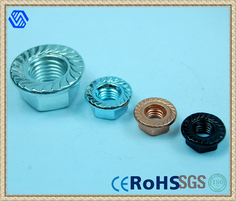 Hexagon Flange Nut (BL-0061)