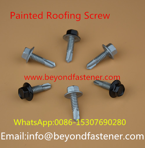 Special Roofing Screw Fastener