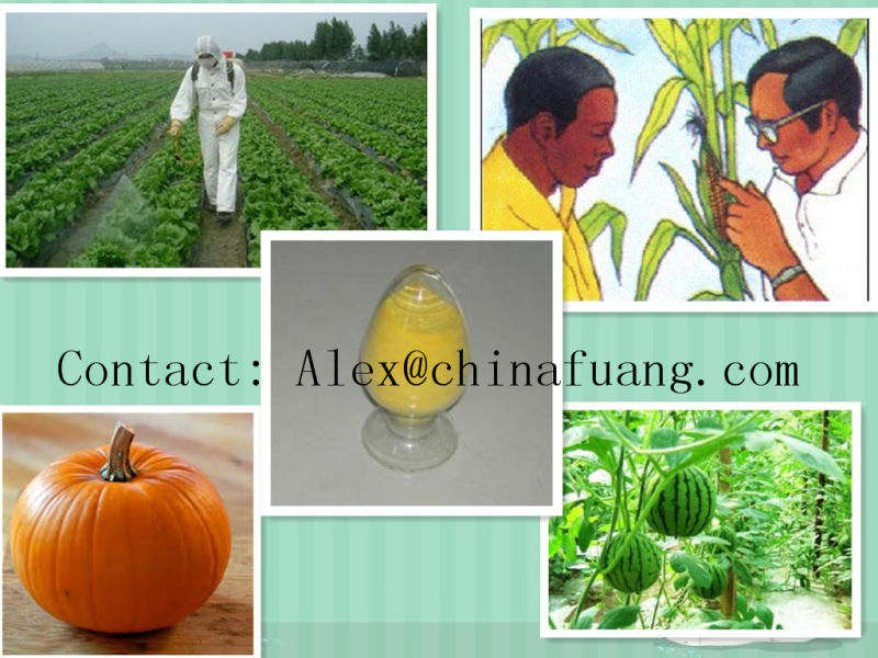 Agricultural Chemicals Agrochemical Fungicide Bactericide 110488-70-5 Dimethomorph