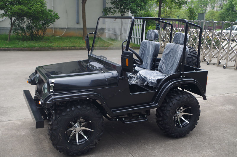 2016 The Most Popular Ce Approved Mini Jeep for Sale