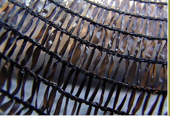 Hot Sell of Shade Net