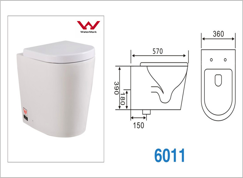 Washdown Close Coupled Toilet/Ceramic Toilet (CVT6011)