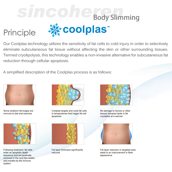 Cryo Lipolysis Fat Freezing Slimming Machine