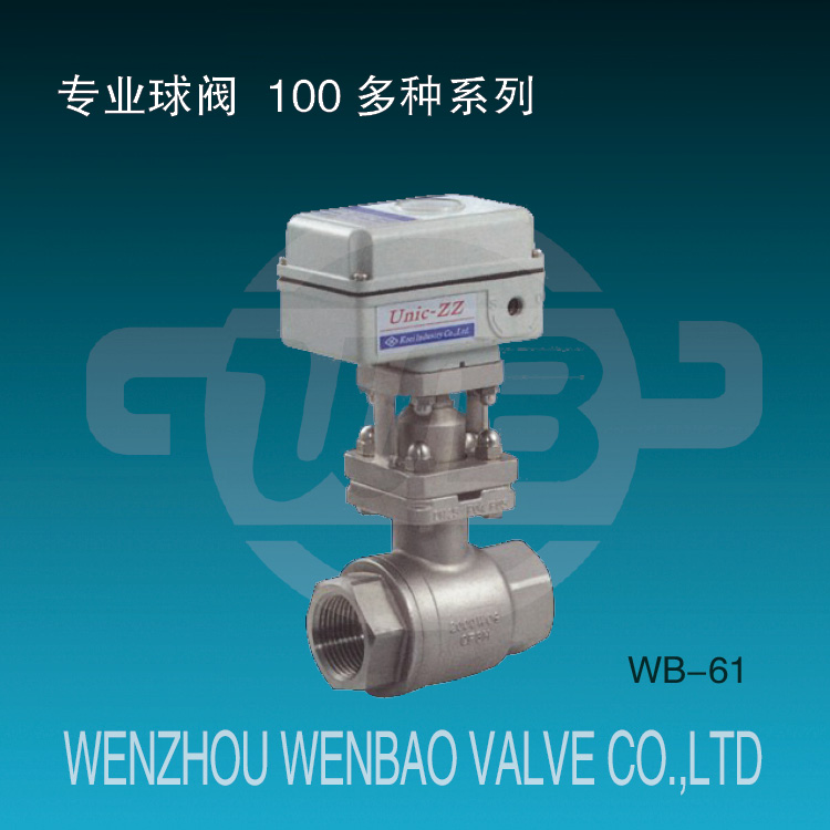 Electric Motorized Ss316 Female Threaded 2PC Ball Valve