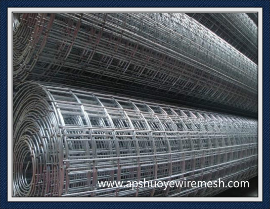 Galvanized Steel Welded Wire Mesh Panel or in Roll