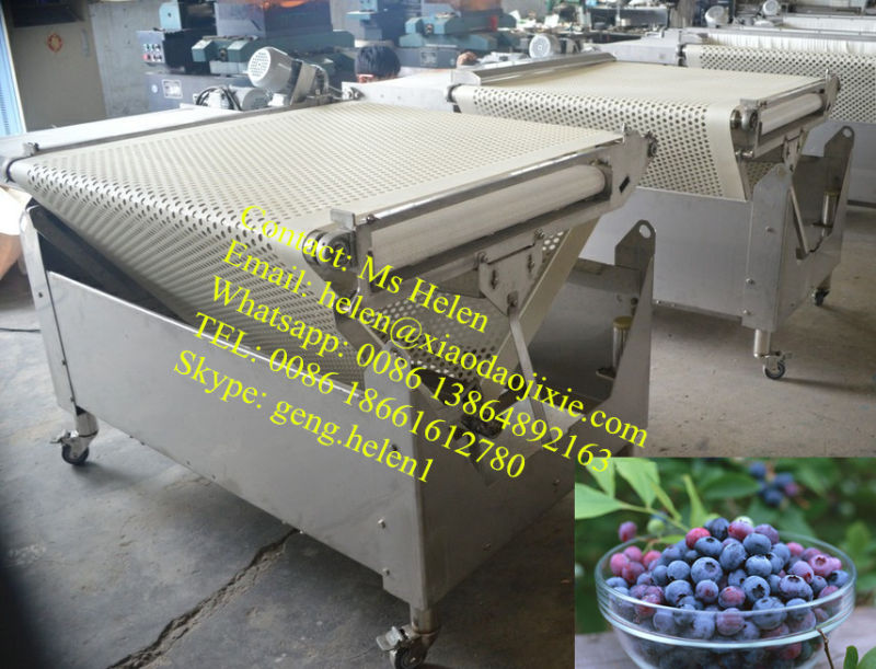 Blueberry Sorting Machine/ Blueberry Sorting Weighting Packing Line