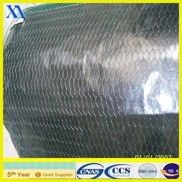 Aquaculture with PVC Coated Hexagonal Wire Mesh (XA-HM414)