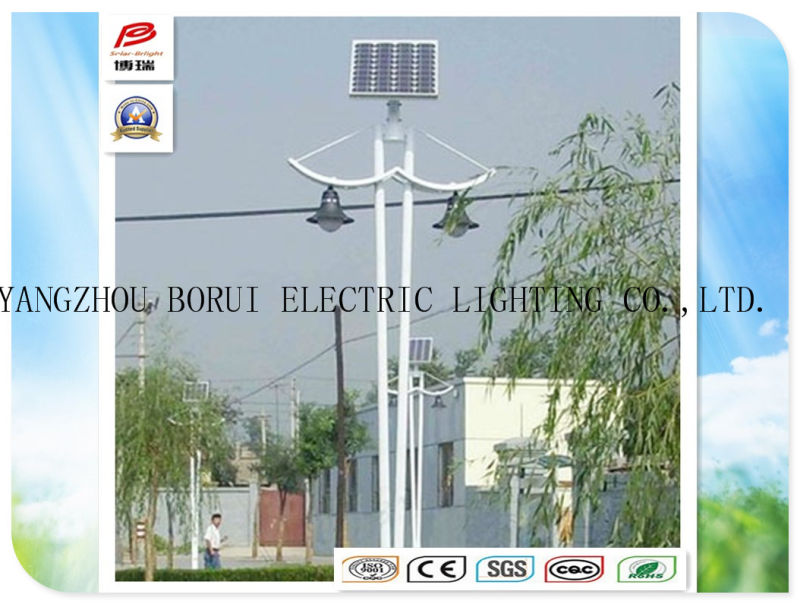 Brsgl045 Efficiency Solar LED Garden Light