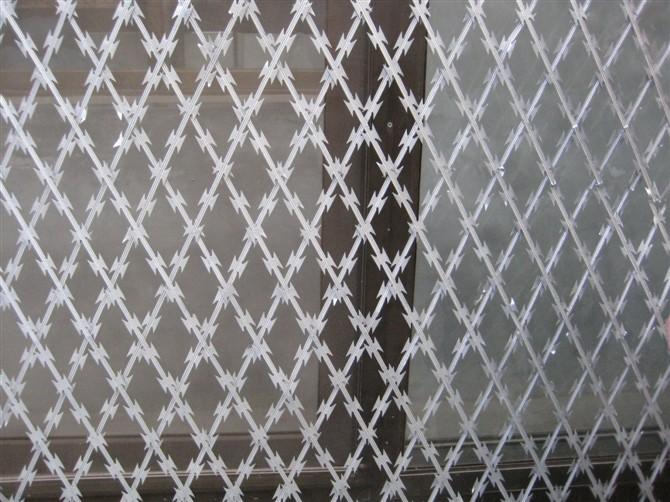 Hot Dipped Galvaized Razor Wire Mesh