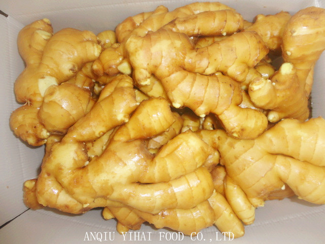 Fresh Ginger/Air-Dry-Ginger Hot Sale