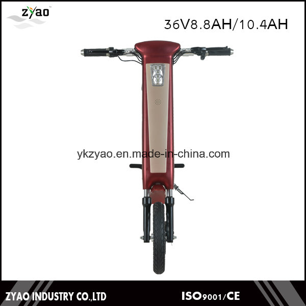 Simple Foldable E-Bike Electric Bicycle China Price Electric Bike